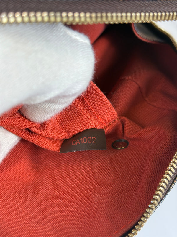 LOUIS VUITTON RIVERA MM DAMIER EBENE